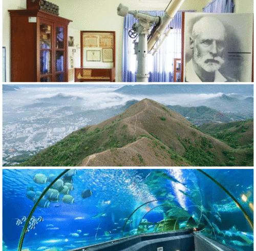 photo-collage.png (3) (1)